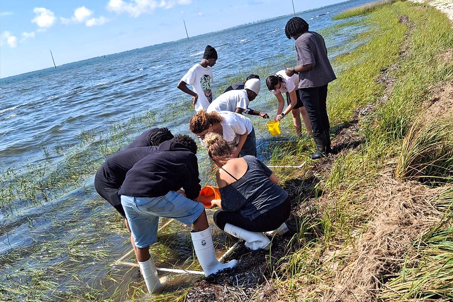 A group of student crouching down taking samples from the bay.